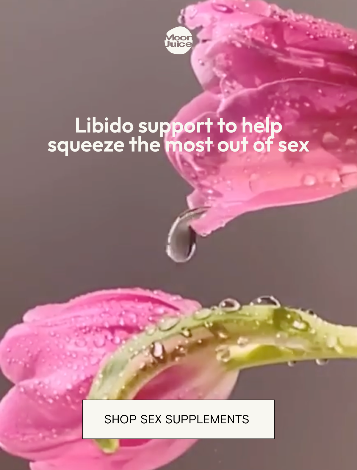 Libido support to to help you squeeze the most out of sex