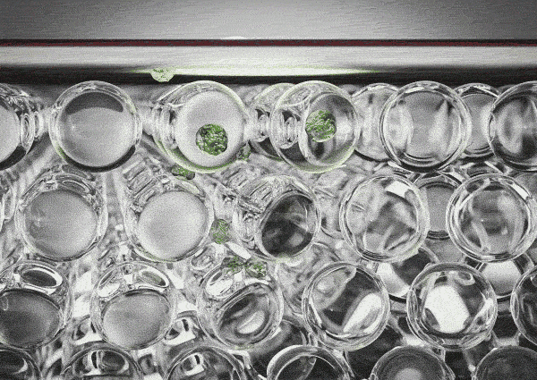 See How Exosomes Work