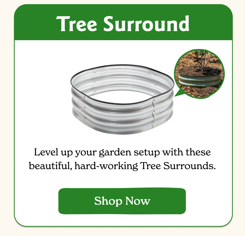 Level up your garden setup with these beautiful, hard-working Tree Surrounds.