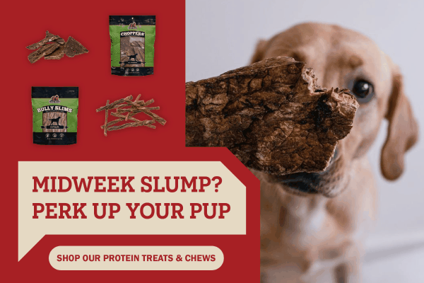 "Midweek Slump? Perk Up Your Pup" with a photo of a dog looking at a Choppers filet