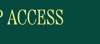 VIP ACCESS