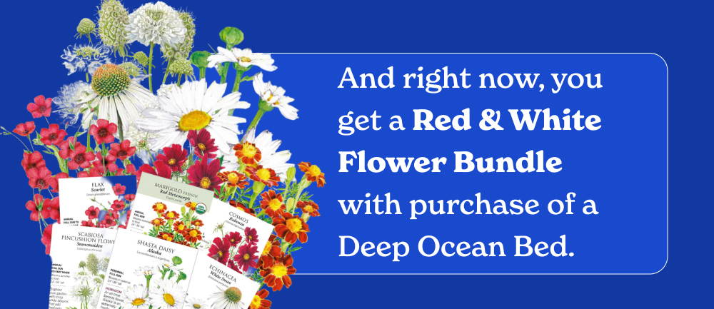 And right now, you get a Red & White Flower Bundle with purchase of a Deep Ocean Bed.