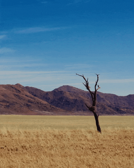 Texte alternatif