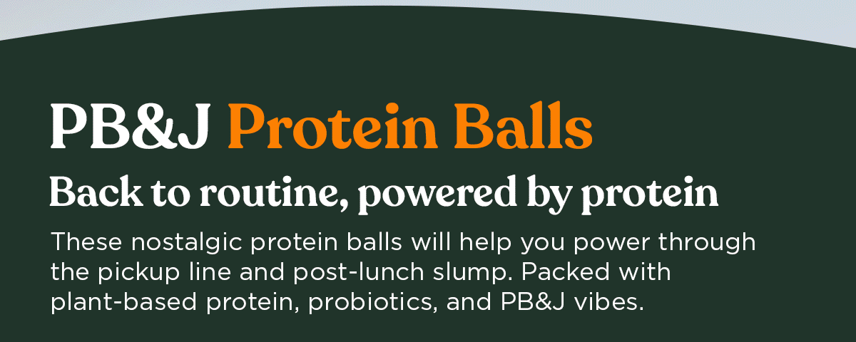 PB&J Protein Balls