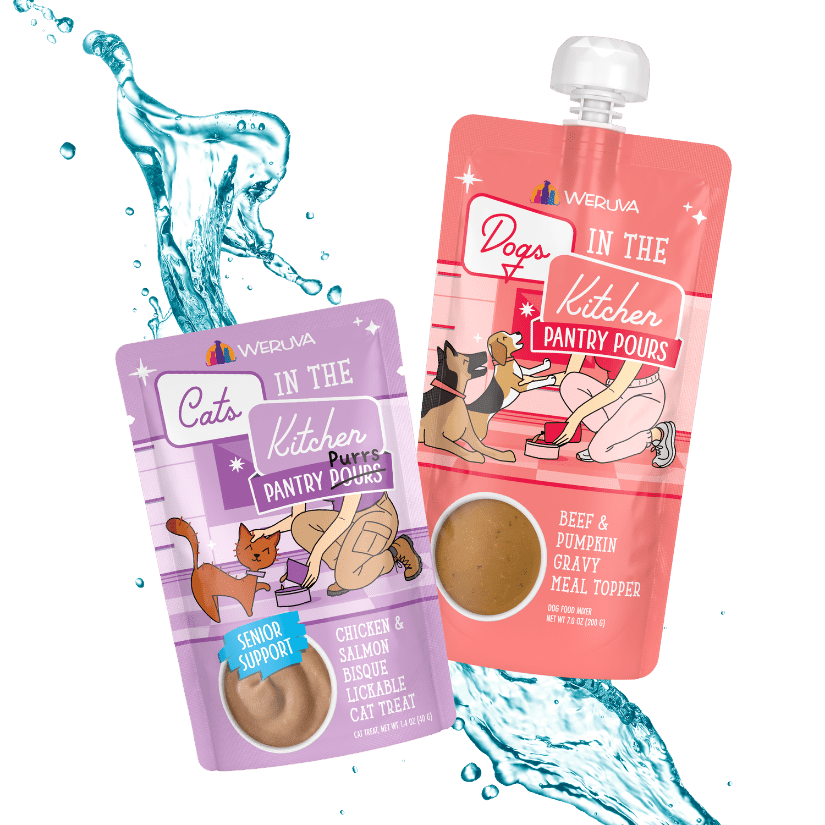 Cats & Dogs in the Kitchen Pantry Pours