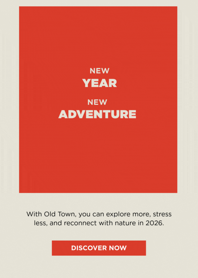 New Year New Adventure - Discover Now
