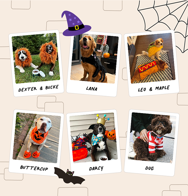 The Pups of Team Wuffes