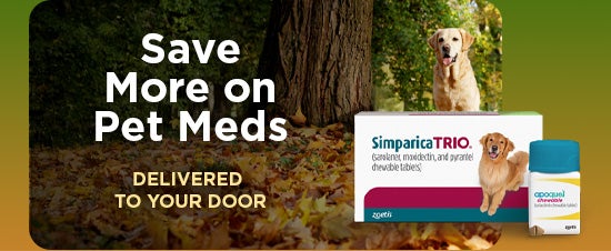 Save more on pet meds delivered to your door