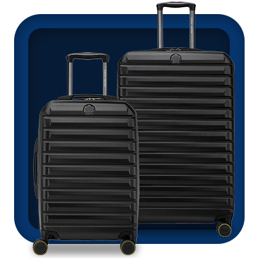 Delsey Paris 2-Piece Hardside Luggage Set