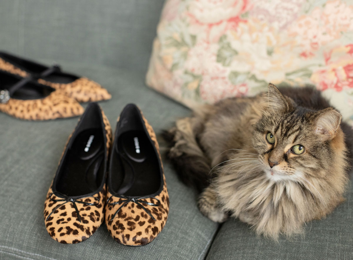 The Goldfinch 15 Mary Jane in Leopard Print Haircalf