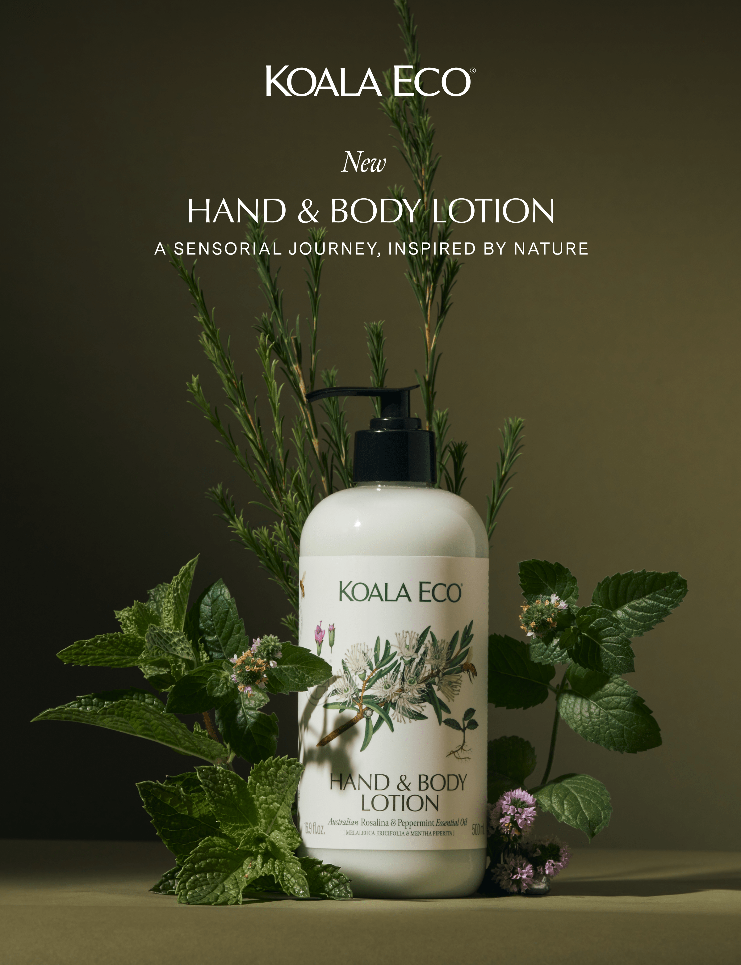 Koala Eco: New Hand & Body Lotion