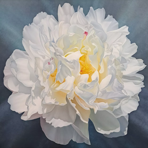Anna Steshenko