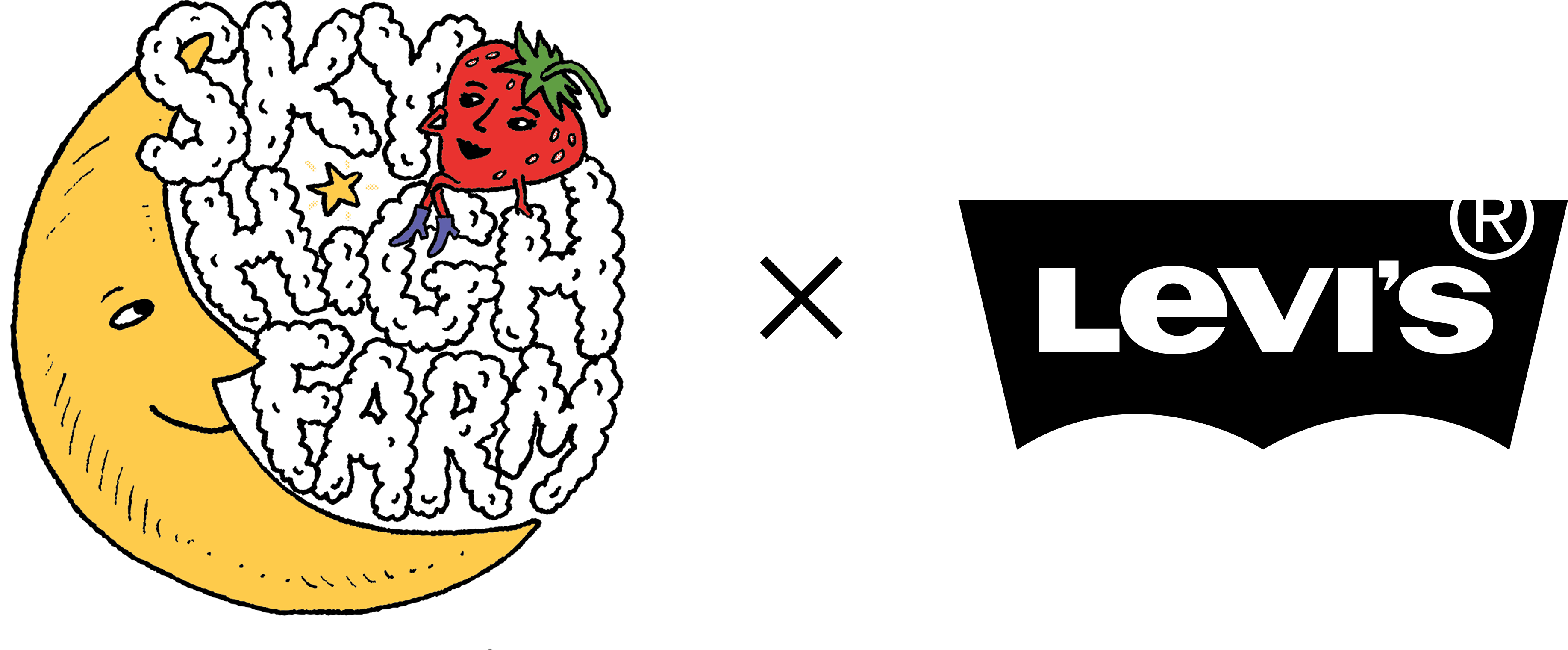SKY HIGH FARM GOODS X LEVIS