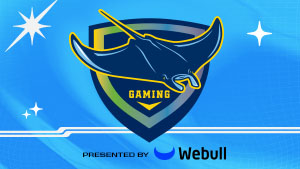 Rays Gaming