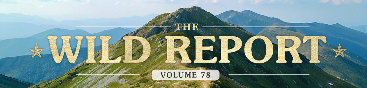 The Wild Report - Volume 78.