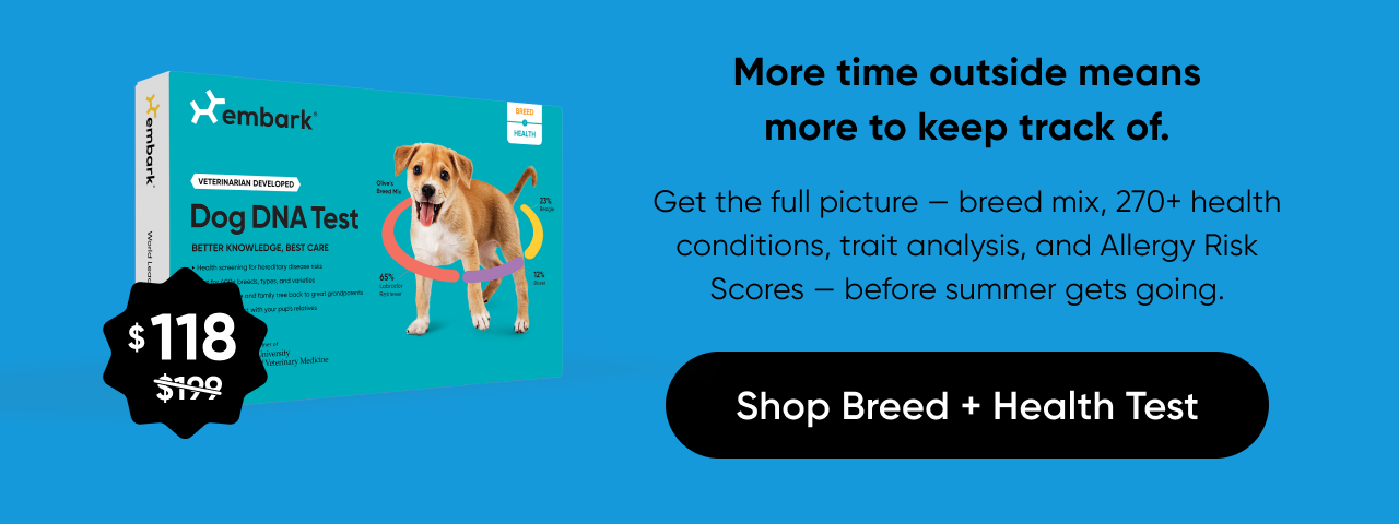 More time outside means more to keep track of. Get the full picture: breed mix, 270+ health conditions, traits analysis, and Allergy Risk Scores, before summer gets going. Shop Breed + Health Test.