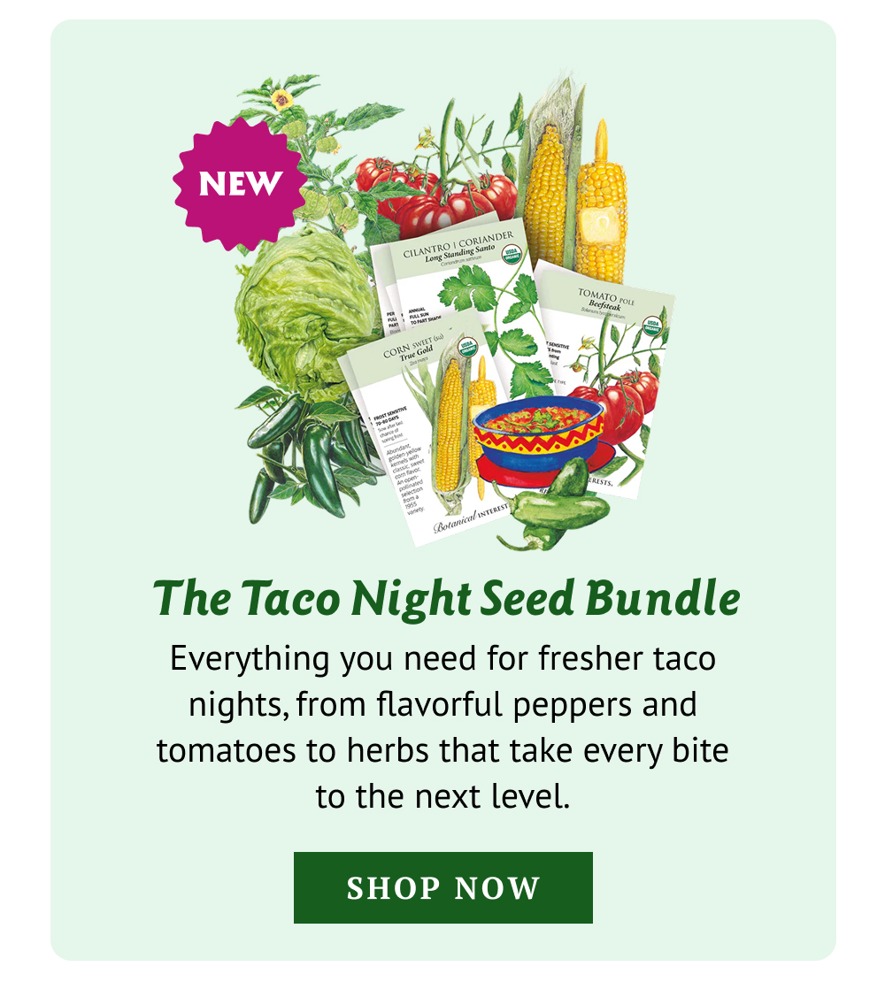 Everything you need for fresher taco nights, from flavorful peppers and tomatoes to herbs that take every bite to the next level.