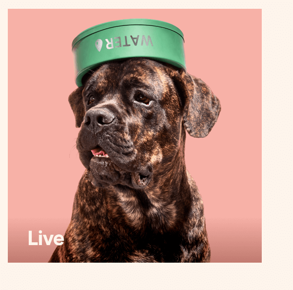 Shop Live