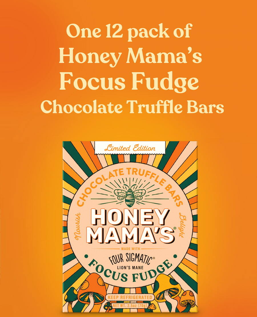 One 12-Pack of Honey Mama's Focus Fudge Chocolate Truffle Bars