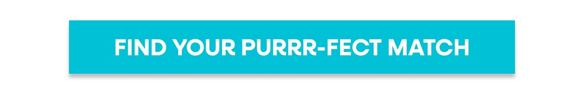 Find Your Purrr-fect Match