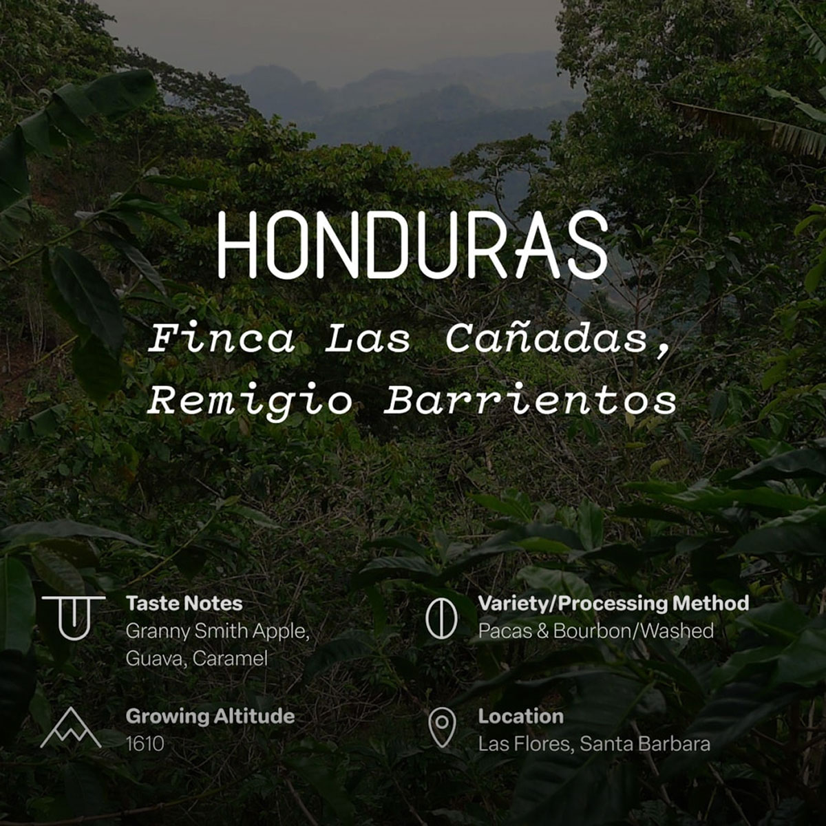 Honduras