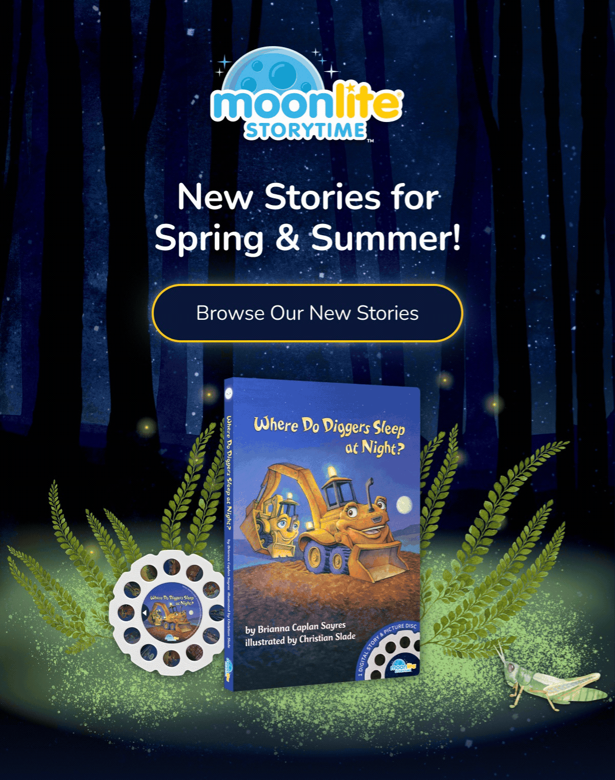New Stories for Spring & Summer! Browse Our New Stories