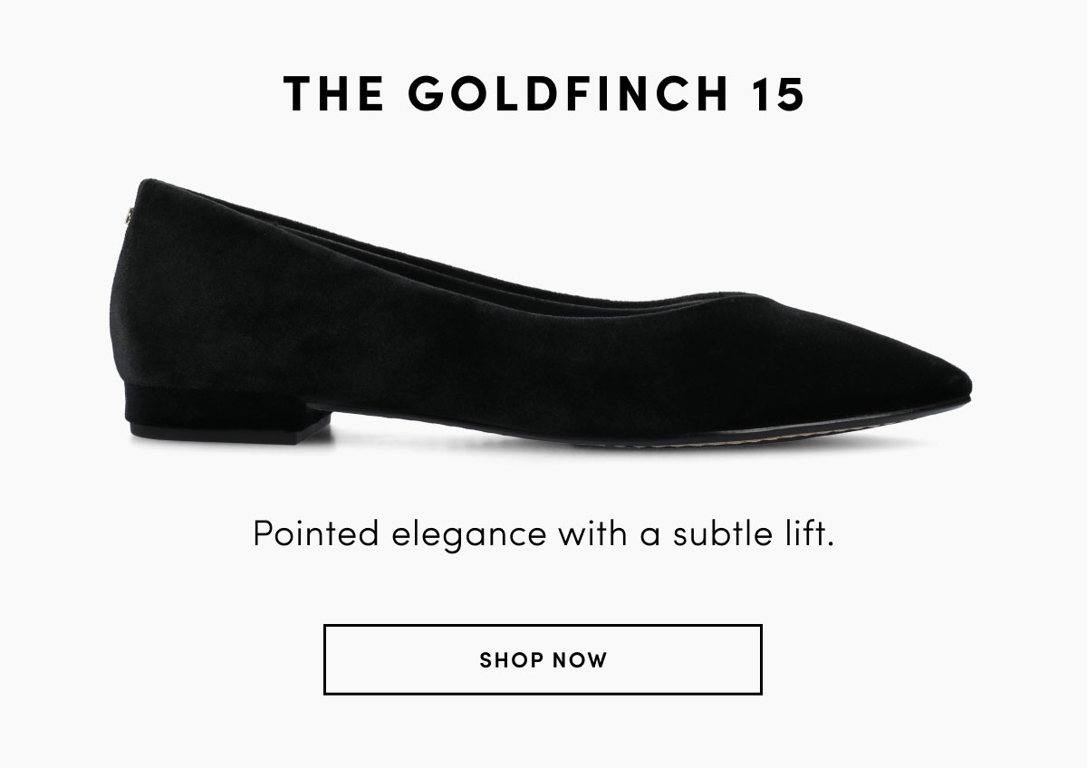 The Goldfinch 15 In Black Velvet