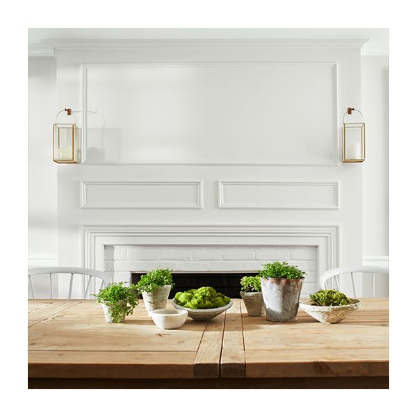 A dining room with light gray-painted walls and fireplace, a white ceiling and trim, a wood table with potted plants, and white chairs.