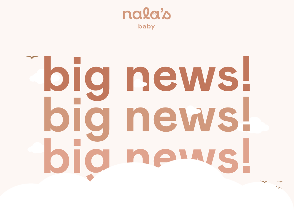 BIG NEWS: 4 new products!