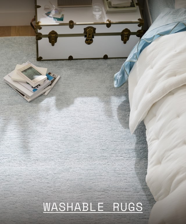 Shop Washable Rugs