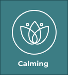 Calming Box