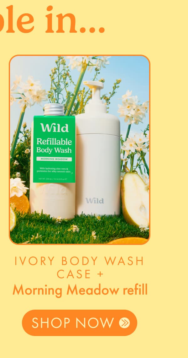 Ivory Body Wash Case + Morning Meadow Refill