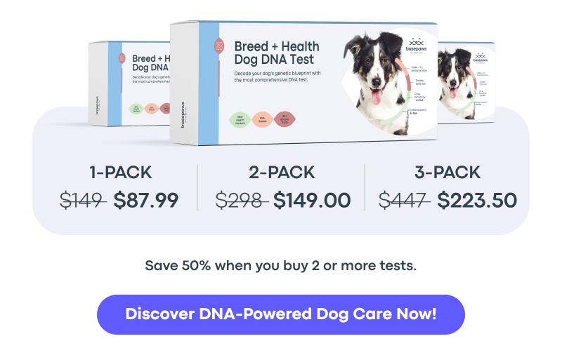 Discover DNA-Powered Dog Care Now!