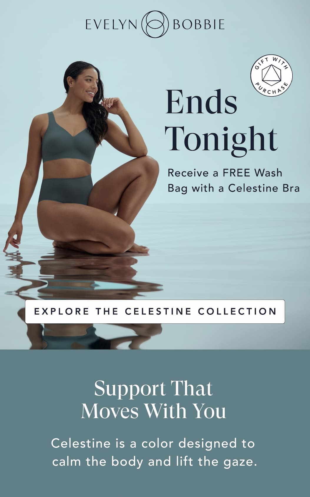 Final Day for Wash Bag with Celestine Bra