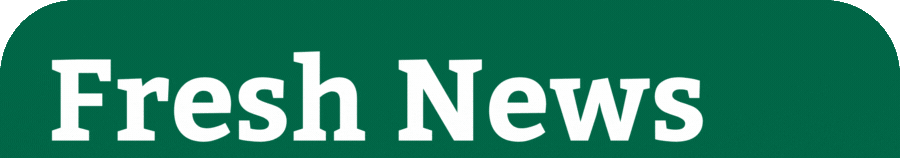 Fresh News