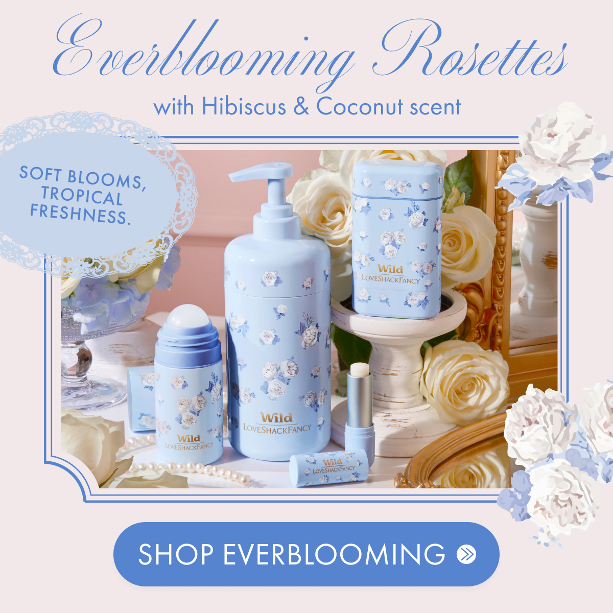 Everblooming Rosettes + Hibiscus & Coconut
