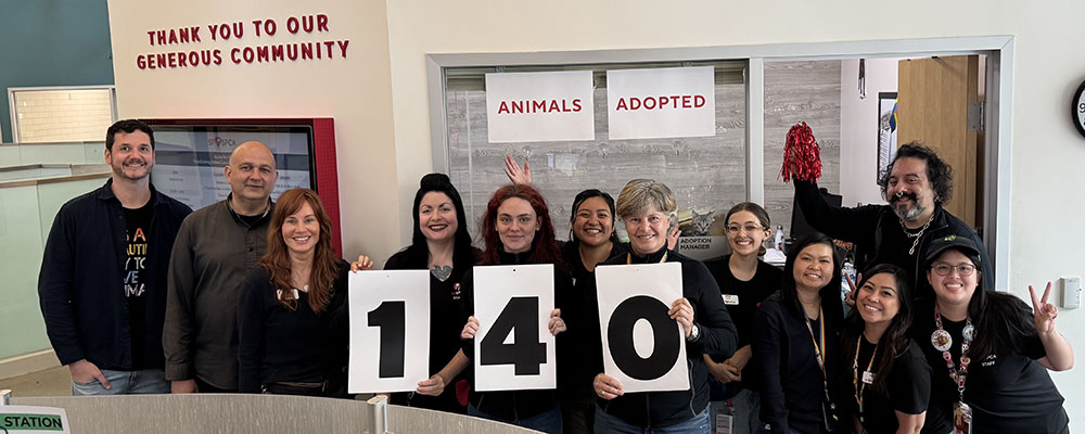 SF SPCA Adoption Team