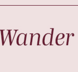 Wander