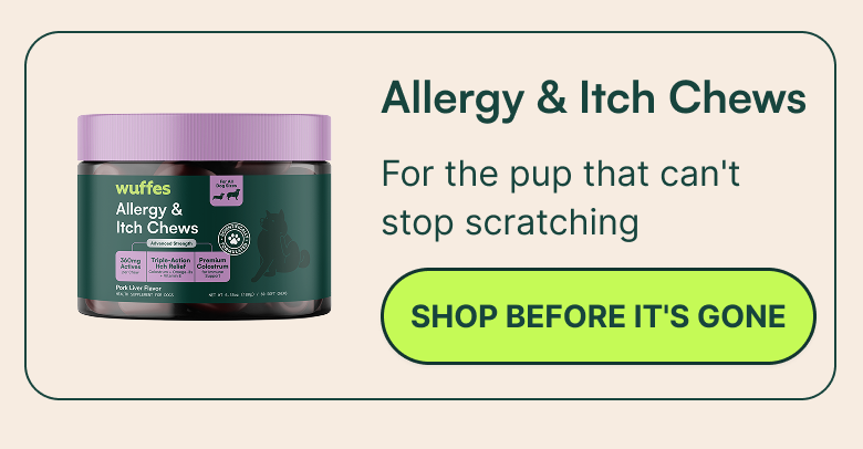 Allergy & Itch Chews
