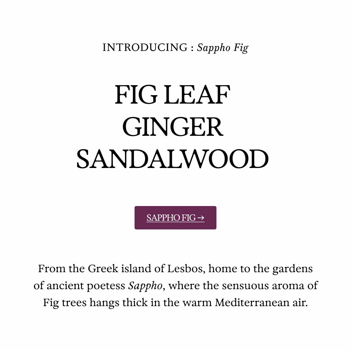 Sappho Fig
