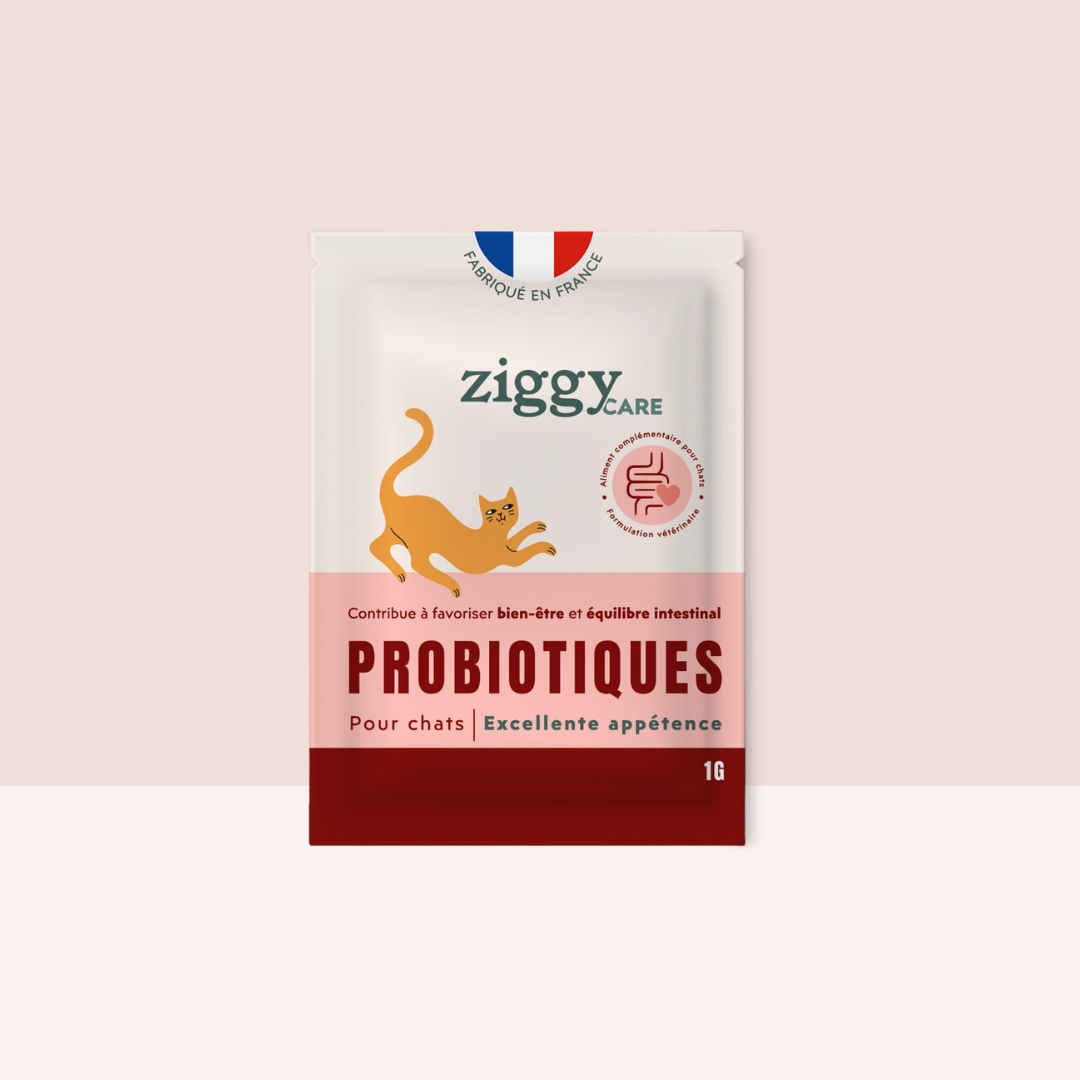 Image of Probiotiques Chat - Flore Digestive