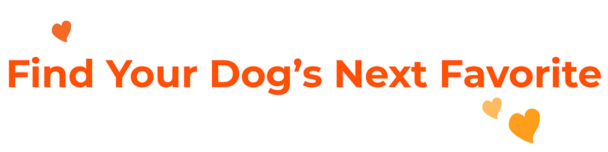 find your dog's next favorite