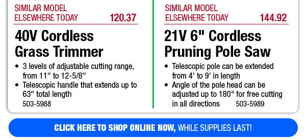 Your Choice - 40V Cordless Grass Trimmer or 21V 6