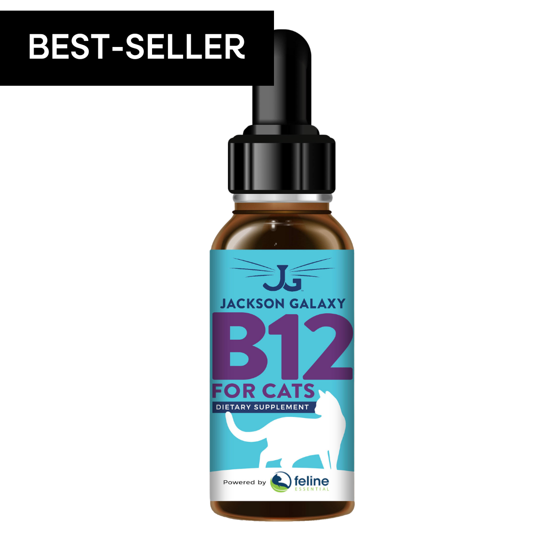 Image of B12 For Cats Dietary Supplement
