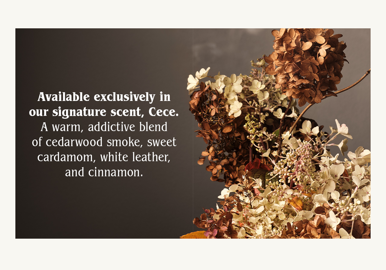 Available exclusively inour signature scent, Cece.A warm, addictive blendof cedarwood smoke, sweetcardamom, white leather,and cinnamon.