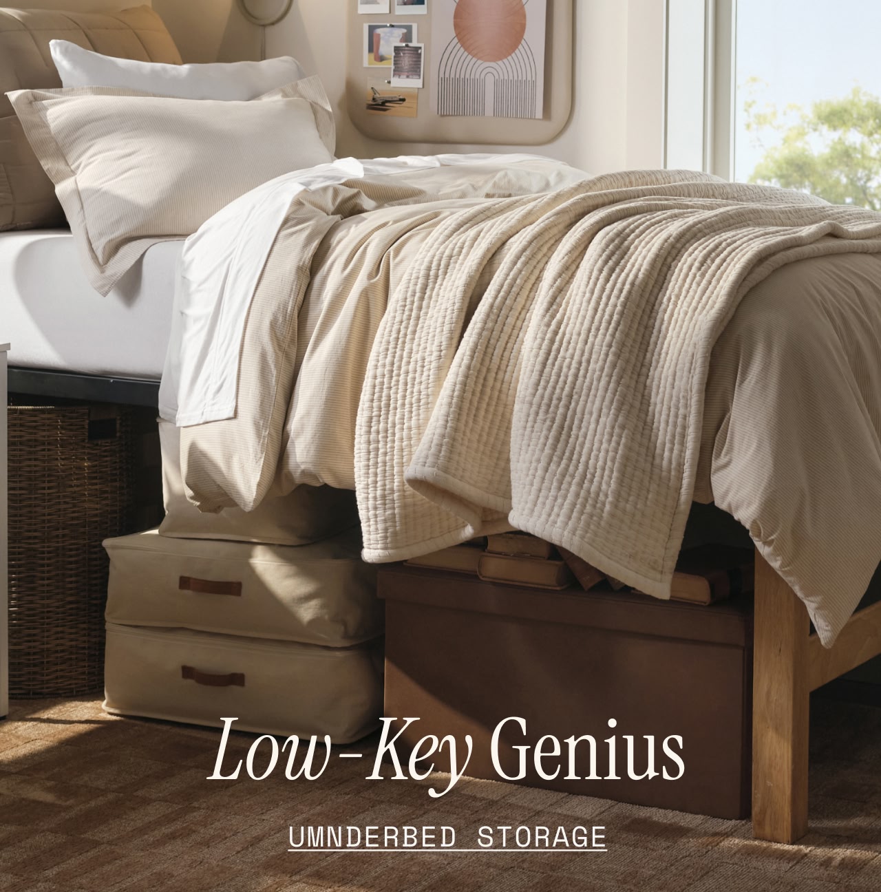Underbed Storage