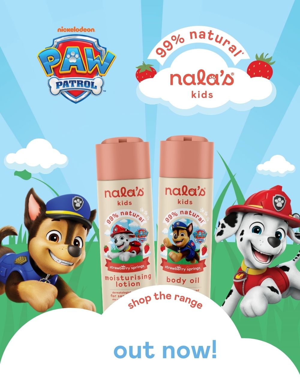 4 NEW products