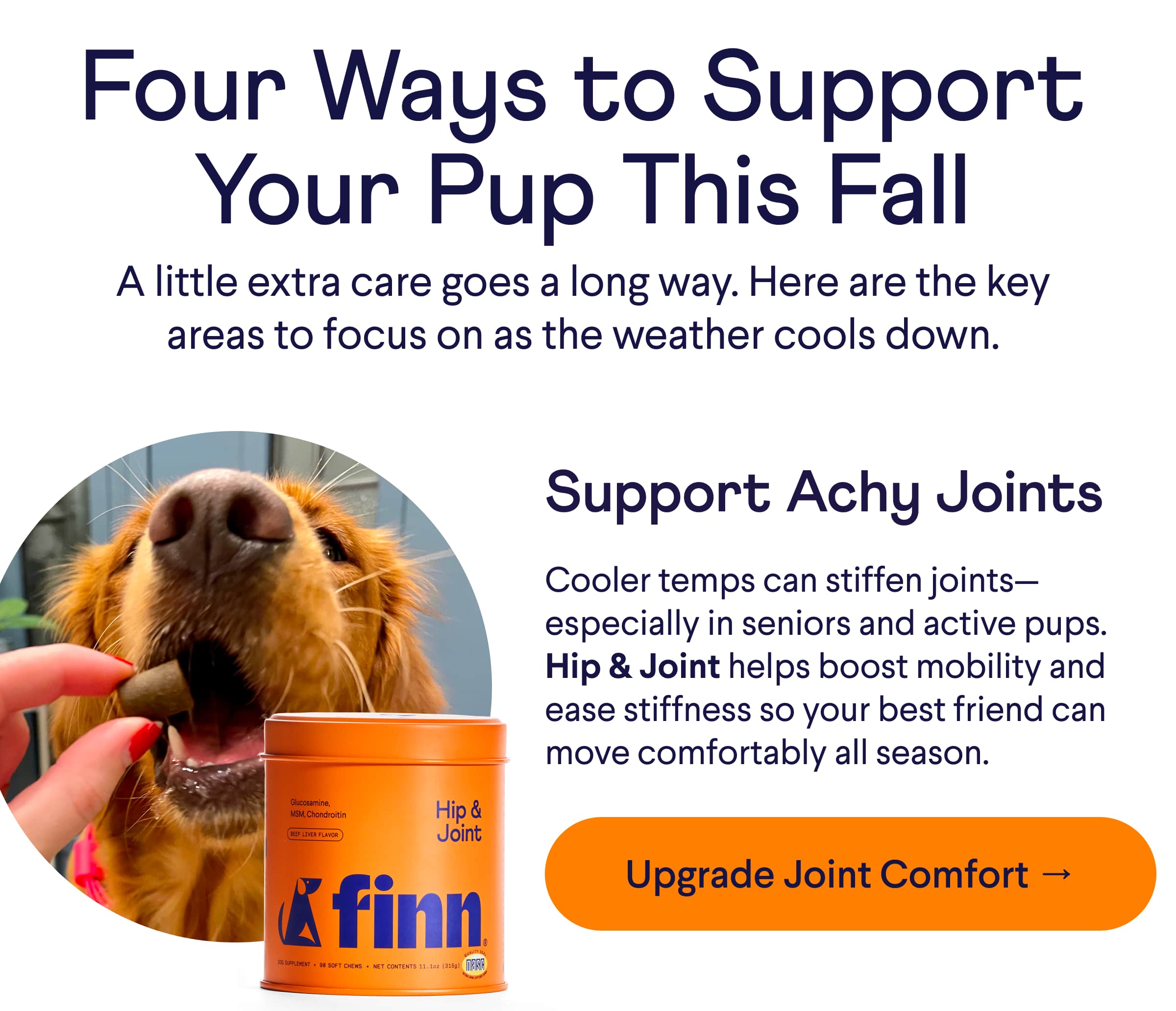 Text: Four Ways to Support Your Pup This Fall A little extra care goes a long way. Here are the key areas to focus on as the weather cools down. Support Achy Joints Cooler temps can stiffen joints—especially in seniors and active pups. Hip & Joint helps boost mobility and ease stiffness so your best friend can move comfortably all season. CTA: Upgrade Joint Comfort →