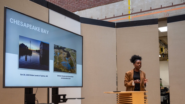 A woman gives a talk
