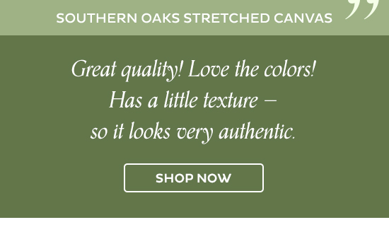 Southern Oaks Stretched Canvas - "Great quality! Love the colors! Has a little texture - so it looks very authentic." Shop Now